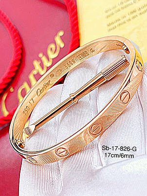 Браслет Stainlees Steel преміум, фото 1