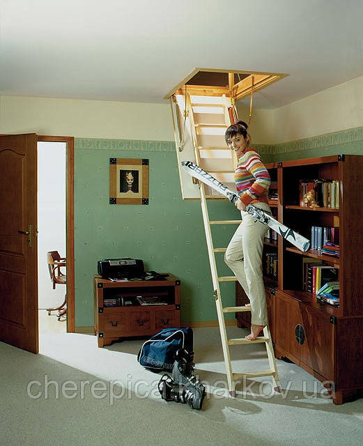 Горищні сходи FAKRO, фото 1