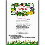 Літня читанка з 3 у 4 клас Авт: Сапун Г. Вид: Підручники і Посібники, фото 2