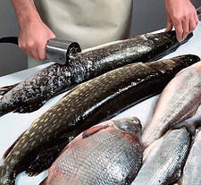 Професійний апарат для чищення риби KT-S, фото 4