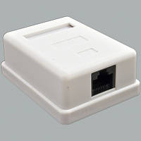 Інтернет-розетка 1хRJ45 зовнішня, один порт, UTP CAT5e