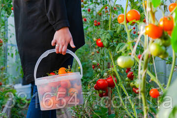 купити харчову тару пластикове в києві україна альянс лкм фото 1