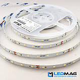 Світлодіодна стрічка ESTAR 3528/60 4,8 Вт 24В 3800-4300К Нейтральний білий IP20 преміум, фото 3