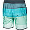 Пляжні шорти плавки Aqua Speed Nolan чоловічі XL, фото 2