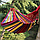 Гамак гавайський підвісний 200x80 див. Туристичний Гамак. Тканинний гамак. Гамак для відпочинку. Гамак для дачі., фото 2