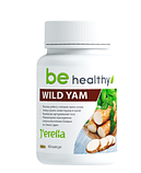 Дикий Ямс. Фітокомплекс для нормалізації гормонального балансу, фото 2