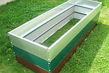 Триярусна грядка, двоярусна грядка, Оцинкована грядка, Металева грядка., фото 8