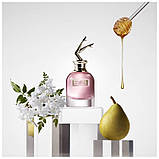 Jean Paul Gaultier Scandal парфумована вода 80 ml. (Жан-Поль Готьє Скандал), фото 7