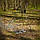 Тринога для Казанка з регулюванням висоти над вогнищем 90см, фото 2