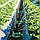 Зрошувач насадка на шланг для поливу 12в1 розпилювач для рослин Розумна система поливу Garden Fresh, фото 7