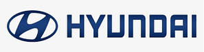 Скла для асенізаторів і насосів Hyundai