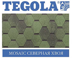 Черепиця TEGOLA (Super) Mosaic Північна хвоя