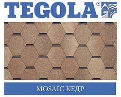 Черепиця TEGOLA (Super) Mosaic Кедр