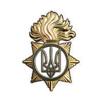 Беретний знак НГУ, латунь