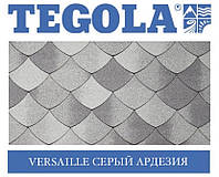 Черепиця TEGOLA (Premium) Versaille Сірий ардезія, фото 1
