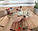 Кошеня шотландська прямоухая шиншила, народжений 21.09.2020 в розпліднику Royal Cats. Україна, Київ, фото 5