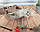 Кошеня шотландська прямоухая шиншила, народжений 21.09.2020 в розпліднику Royal Cats. Україна, Київ, фото 8