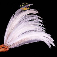 Белое перо фазана длинна 65-70см*1шт