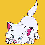 Піжама демісезонна Кітті 03.12.24, фото 3