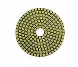 Алмазный гибкий шлифовальный круг. Черепашка D-125мм. зерно #100, фото 2