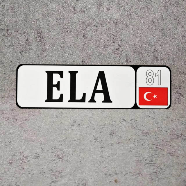 Номер на коляску с именем ребёнка (Флаги иностранных государств) ЕLA  НК-02
