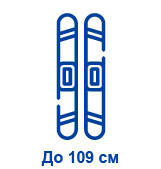 Гірські лижі до 109 см