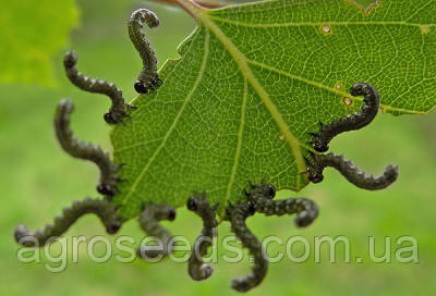 Великий вибір засобів захисту рослин оптом в Україні