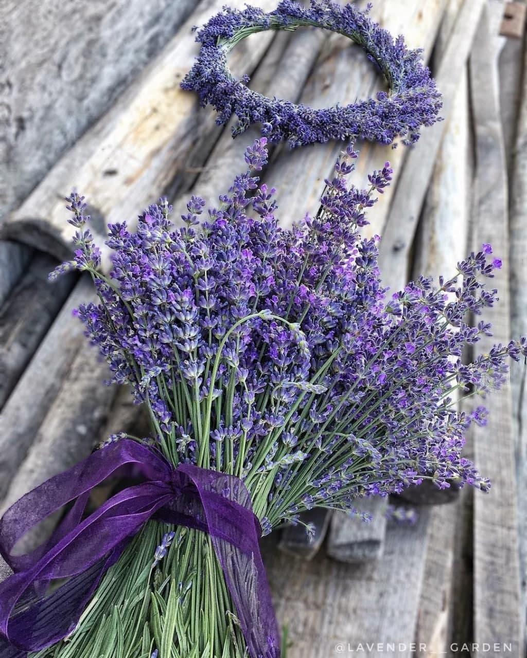 Віддушка для антисептиків, санітайзерів Lavender Tree (Лавандове дерево )