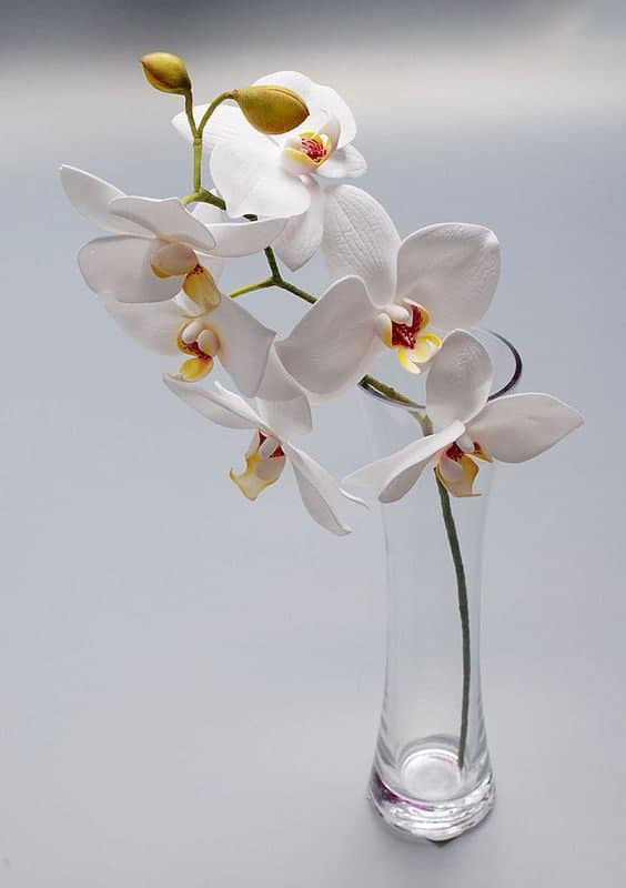 Віддушка для антисептиків, санітайзерів Orchid (Орхiдея)