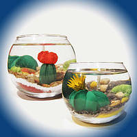 Свічки міні флораріум сукуленти (кактуси)