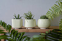 Керамический горшок для кактусов и суккулентов Mini Plant маленького размера 6,2-6,5 см Желтый