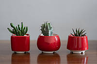 Керамический горшок для суккулентов Mini Plant маленького размера 6,2-6,5 см Красный