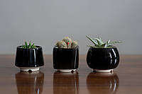 Керамічний горщик для сукулентів Mini Plant маленького розміру 6,2-6,5 см Чорний