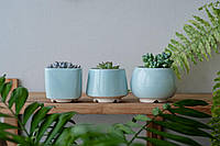 Керамический горшок для суккулентов Mini Plant маленького размера 6,2-6,5 см Голубой