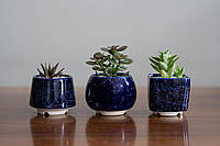 Керамический горшок для суккулентов Mini Plant маленького размера 6,2-6,5 см Синий Клеопатра