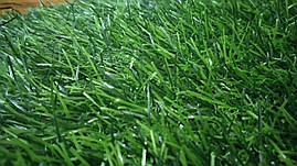 Декоративна штучна трава SD 35(35мм.), фото 3