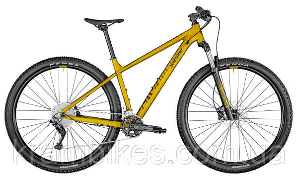 Mtb bergamont store 29