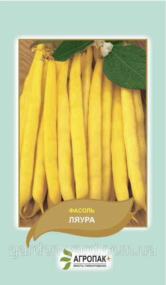 Насіння спаржева квасоля кущова Ляура 20шт. Агропак плюс
