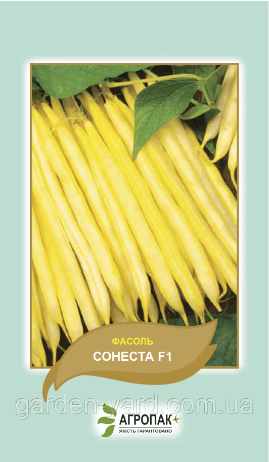 Насіння квасоля спаржева кущова Сонеста F1 20шт. Агропакгруп