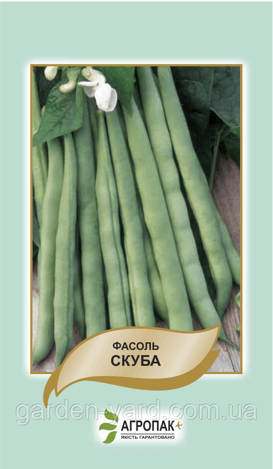 Насіння квасоля спаржова кущова Скуба 20 шт.