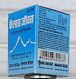 Кайлас Дживан 60г Кайлаш/ Аюрведичний Крем, Індія. Термін до 04/2027, фото 7
