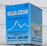 Кайлас Дживан 60г Кайлаш/ Аюрведичний Крем, Індія. Термін до 04/2027, фото 4