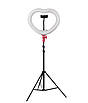 Кільцева лампа для фото лампа кільце для студії "Серце" RL 12 33 см яскрава потужна світлодіодна led лампа 18 Вт, фото 5