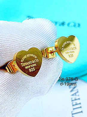 Сережки Stainlees Steel преміум, фото 1