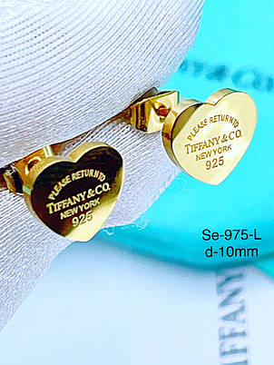 Сережки Stainlees Steel преміум, фото 2