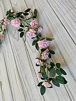 Лиана Роза 1 м розового цвета