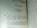 Пауль Е. Підробна богиня (б/у)., фото 4