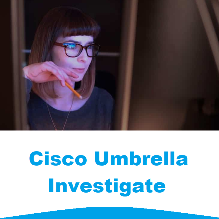 Cisco Umbrella Support Packages - фото 6 - id-p1388478274