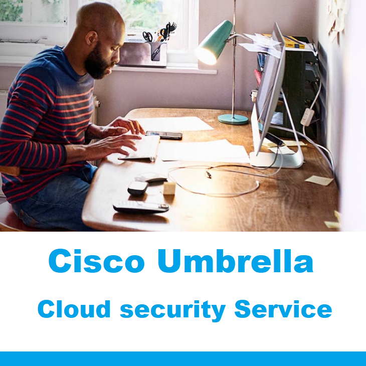 Cisco Umbrella Support Packages - фото 7 - id-p1388478274