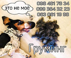 Вичісування собак Експрес линька